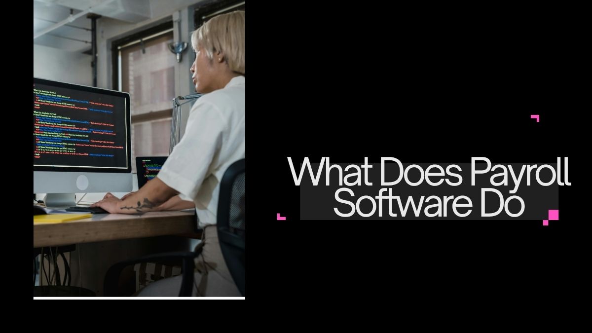 What Does Payroll Software Do